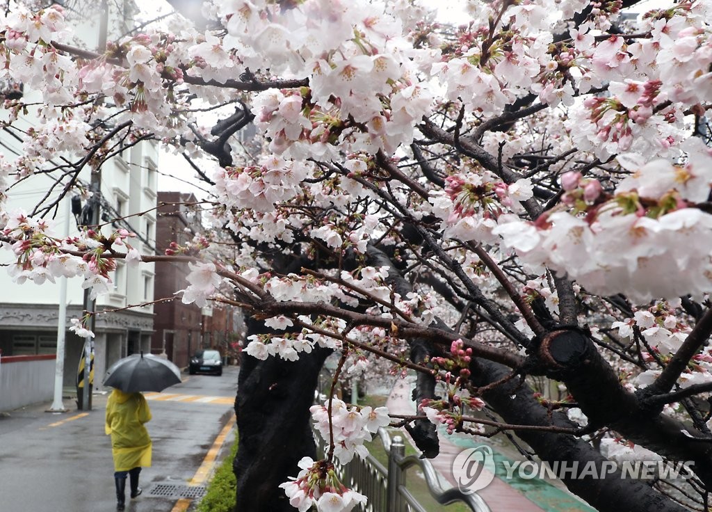 황사 내일까지 남아있어…전국 미세먼지 '나쁨'