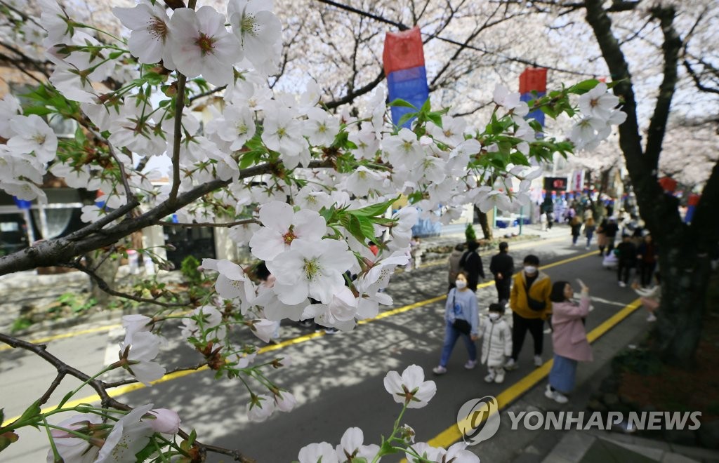 활짝 핀 벚꽃에 북적인 상춘객…마스크 없이 봄내음 만끽