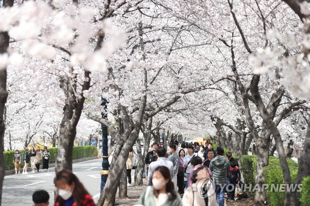 전북 맑고 낮 최고 11∼15도…미세먼지 '보통'