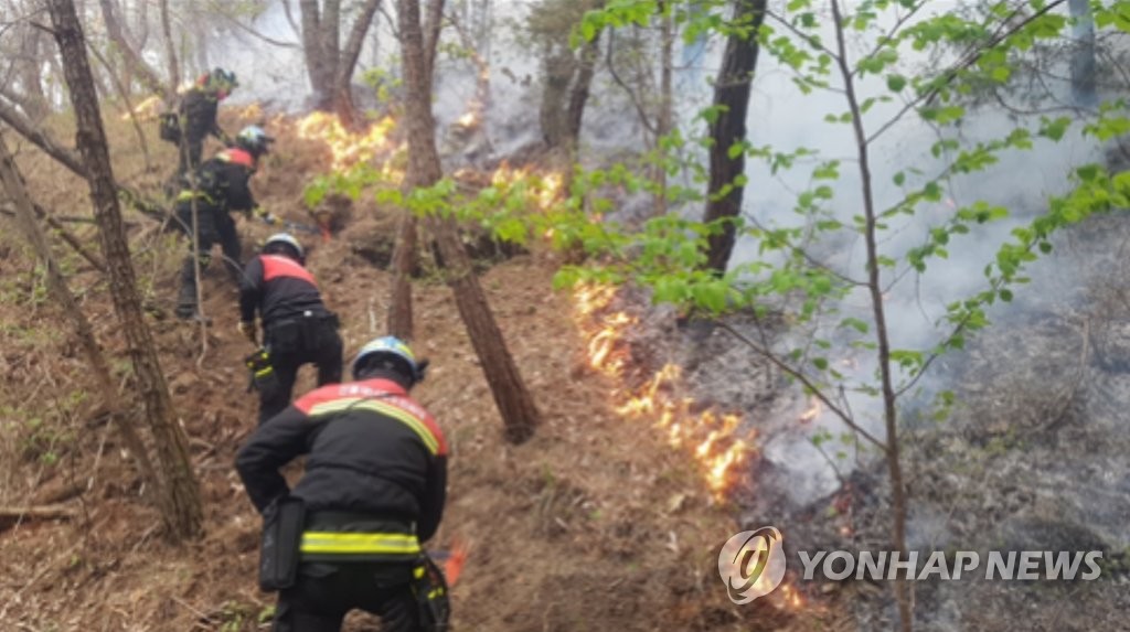 마니산 산불, 오후 10시 기준 진화율 65%…드론 투입 야간진화(종합)