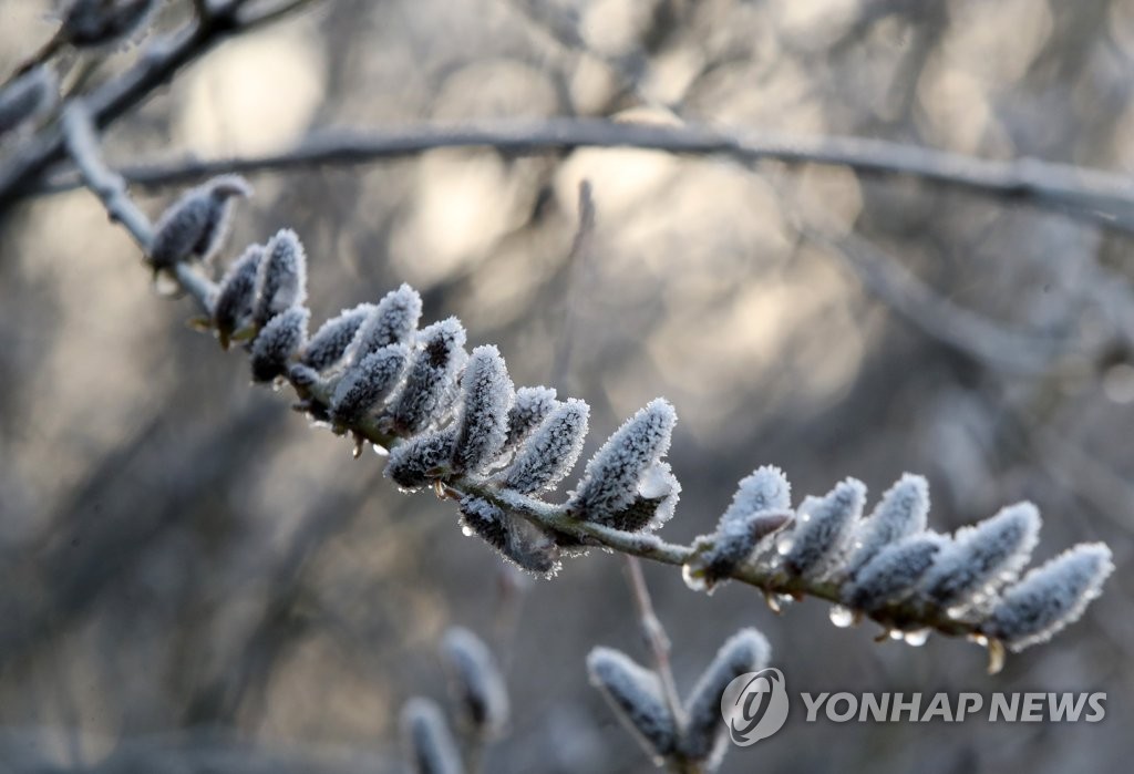 내일 아침도 0도 내외로 '쌀쌀'…수도권·충남 미세먼지 나쁨