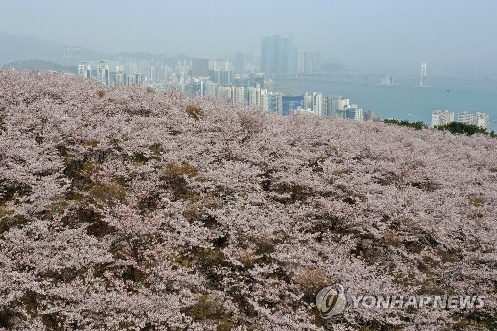 내일도 일교차 20도 이상…전국 미세먼지 '나쁨'