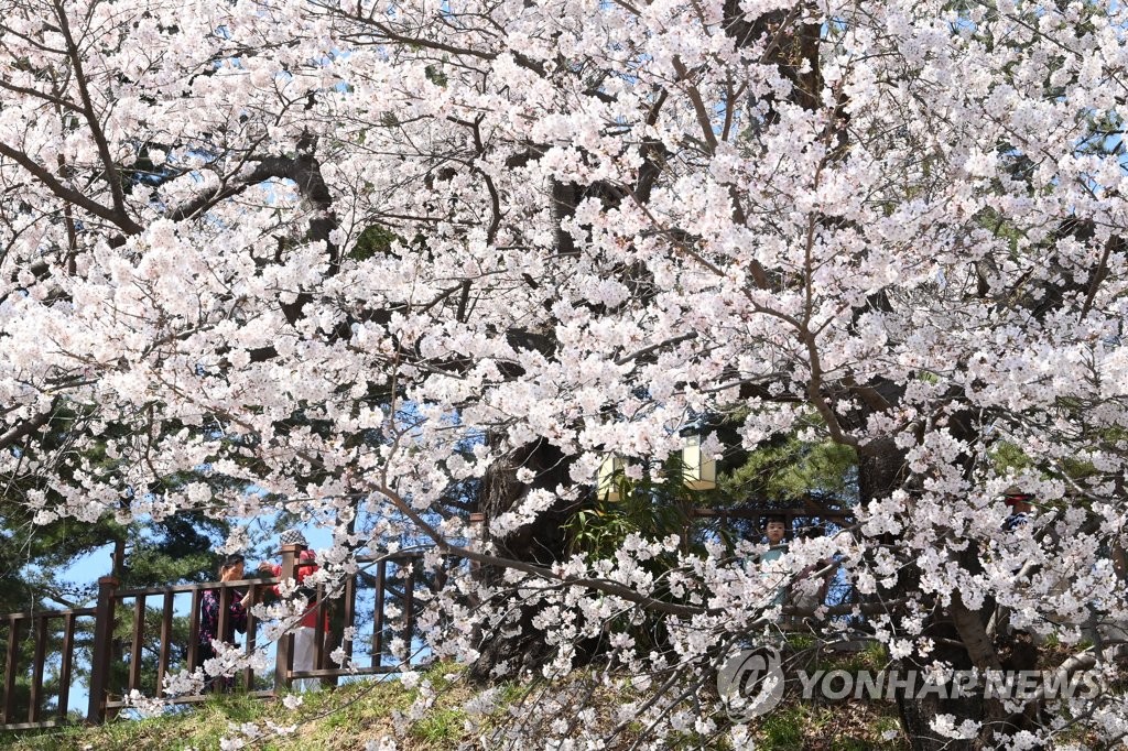 내일도 맑고 건조…광주 낮 최고 27도, 서울은 23도까지 올라