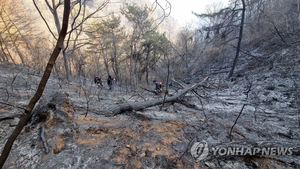 화천·포천·제천서 산불…행안부 "인명보호 최우선"