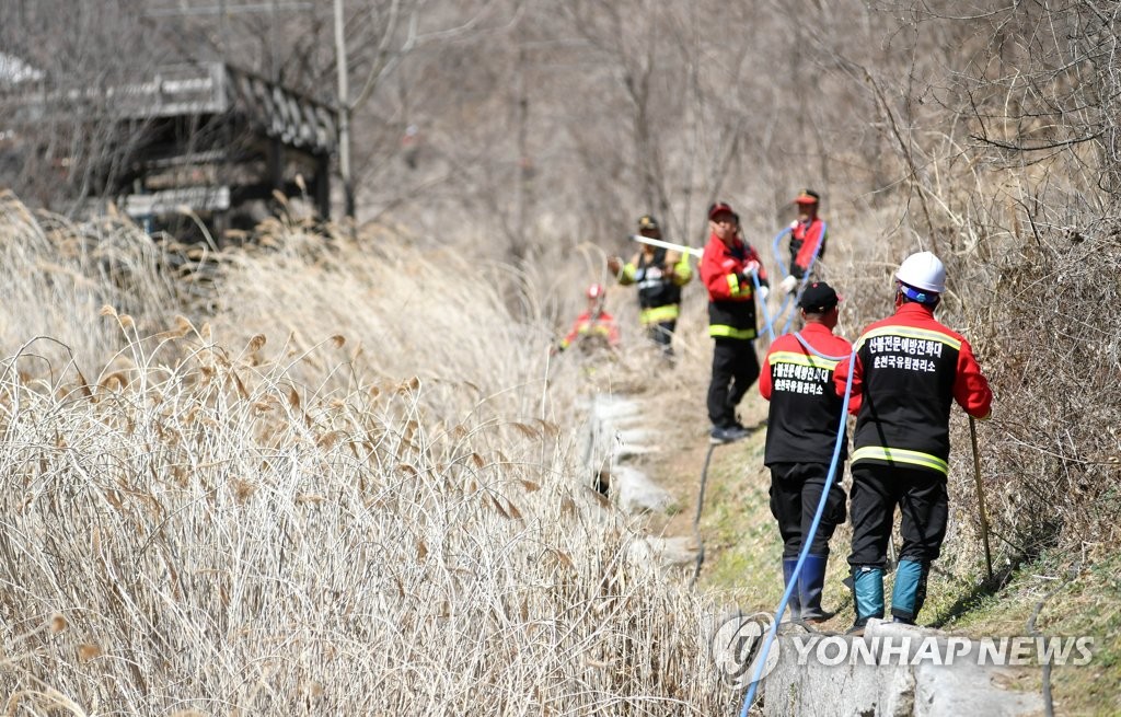 화천 산불 18시간 만에 진화…축구장 약 100개 소실 추정(종합)