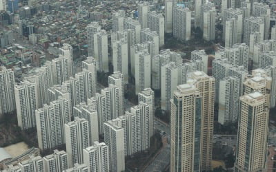 주택시장 살얼음판인데…巨野에 발목 잡힌 규제 완화