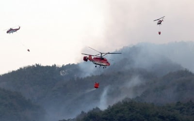 [속보] 경남 합천 산불 20시간 만에 주불 진화…축구장 230개 면적 태워