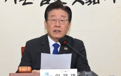 이재명 불구속 기소…'릴레이 재판' 본격화