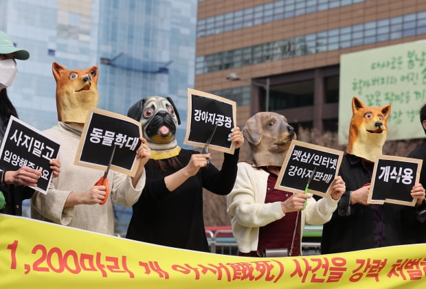 국제 강아지의 날인 지난 23일 오후 서울 광화문광장에서 한국동물보호연합 관계자 등이 양평 개 1000여카지노사이트 아사 사건의 책임자를 규탄하며 강아지 공장 폐쇄 촉구 기자회견을 하고 있다. /사진=연합뉴스