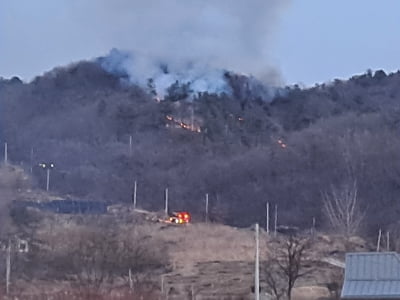 세종 전동면 야산에 불…1시간여만에 주불 진화