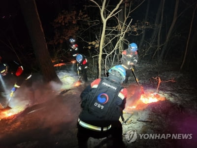 건조한 날씨·강한 바람에 전국 곳곳서 산불 잇따라