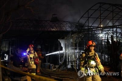 강남구 세곡동 화훼농가 비닐하우스 불…주민 대피