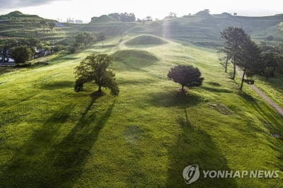 함안 아라가야문화제 올해 10월 개최…세계유산 등재 축제될까