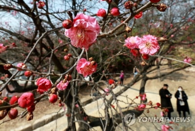 [날씨] 포근한 날씨 계속…중부지방 흐리고 비