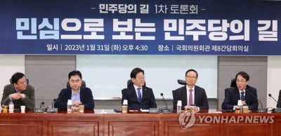 비명계 만찬회동 "李, 내홍 해법 내놔야…상황 봐가며 대응"