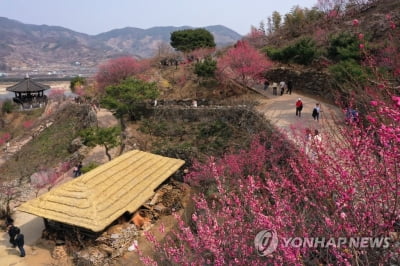 오늘도 완연한 봄 날씨…중부지방, 내일 오전까지 봄비