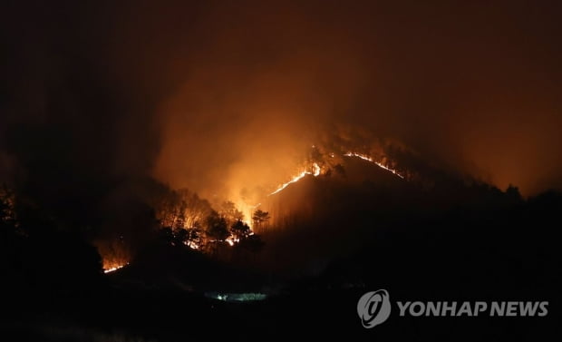 합천 산불 오후 10시 진화율 75%…산불영향구역 162㏊ 추정