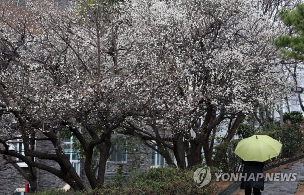 카지노 한국인 전국 곳곳 비…수도권 미세먼지 '나쁨'