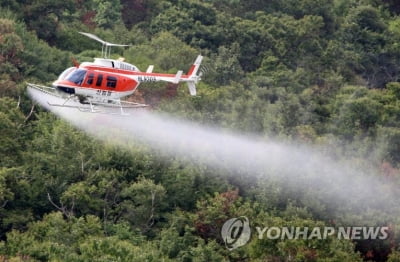 산림 재해 예방하고 정보 공유…문화재청-산림청 협력 '맞손'