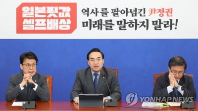  박홍근 "尹의 추억여행으로 끝나선 안돼…배상 해법 끌어내야"