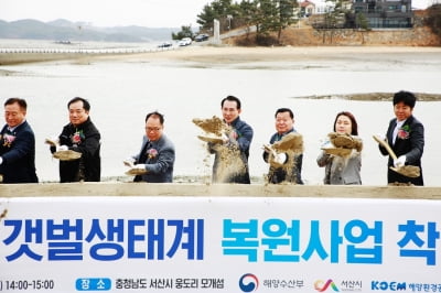 서산 웅도 갯벌생태계 복원사업 기공…해수 소통형 다리 설치