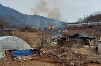 영월서 쓰레기 태우다가 들불로 번져 80대 화상