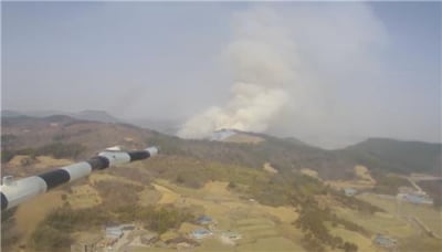 충남 서천 마산면서 산불…산림청 '산불 1단계' 발령