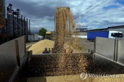 식품물가 더 오르나…우크라 "곡물수확 작년보다 10∼15% 감소"