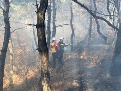 전남 영광군서 산불…20여분 만에 주불 진화