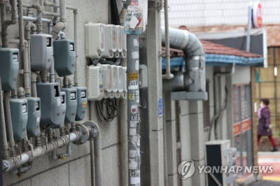 "전력도매가 상한제는 에너지 산업 공멸의 길"
