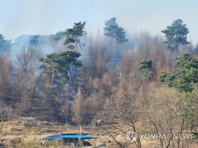 강원 4곳서 동시다발 산불…3곳 진화·1곳은 '야간 진화 중'(종합2보)