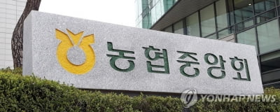 이자수익 증가에 작년 농협 등 상호금융 순익 3조1천억원…14%↑