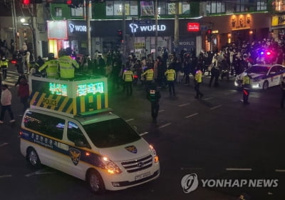 "인파 사고 막자"…진해 군항제에도 'DJ 폴리스' 투입