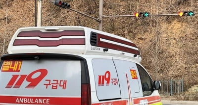 '소방·구급차에 우선 신호' 남양주시 전역 확대