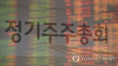 행동주의펀드·소액주주연대 주주제안 주총서 잇따라 부결