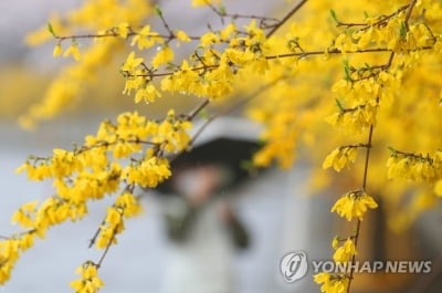 대구·경북 흐리고 가끔 비…미세먼지 '나쁨'