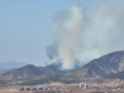 북한, 봄철 산불방지에 부심…"산림보호에 선차적 요구"