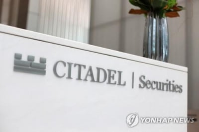 그날 이유 모를 순식간의 주가상승…주문자는 시타델증권