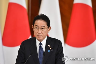 "日정부, '수출입 금지' 독자 대북 제재 2년 연장 검토"
