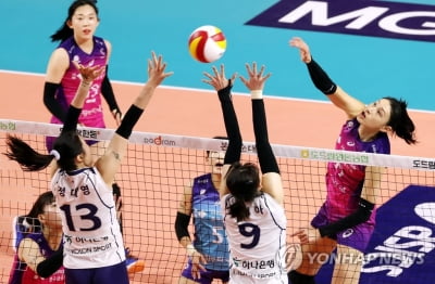 흥국 김연경의 날개 vs 도공 배유나의 벽…29일부터 챔프전