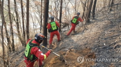 강화 마니산 산불 17시간만에 주불 진화…22만㎡ 피해