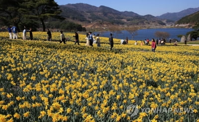 아침 '쌀쌀' 낮엔 봄기운…수도권·세종·충남·전북 미세먼지