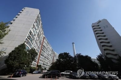 "공시가 급락에 보유세 작년의 절반"…매도 보류하는 다주택자