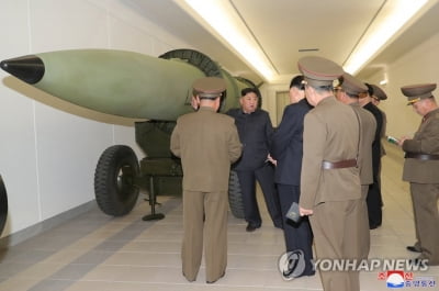 "北 수중·공중서 핵위력 과시…패션쇼하듯 무기 시험"