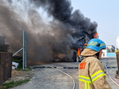 서귀포시 양돈장에 화재…돼지 800마리 폐사(종합)