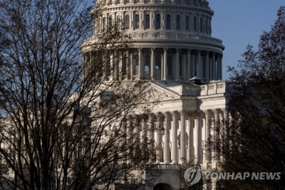 美 민주 핵심 의원, 日 배터리 핵심광물 IRA 보조금 혜택 비판