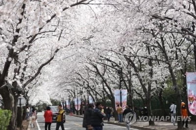 대구·경북 건조하고 일교차 커…낮 최고 15~22도