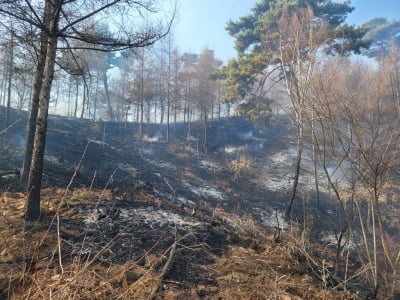 원주시, 소초 산불 실화 혐의 50대 입건해 검찰 송치 예정