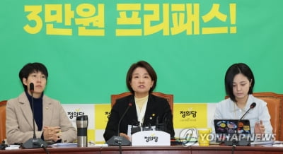정의당에 퇴짜 맞은 민주…'쌍특검 패스트트랙' 3월 처리도 불발