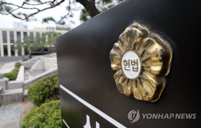 헌재 "사무장병원 누명 벗으면 요양급여 받게 법 개정해야"
